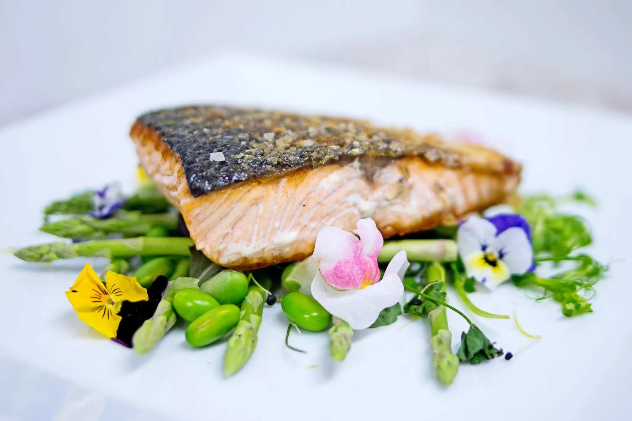 produkty / gastro — fotografia 10 z 15